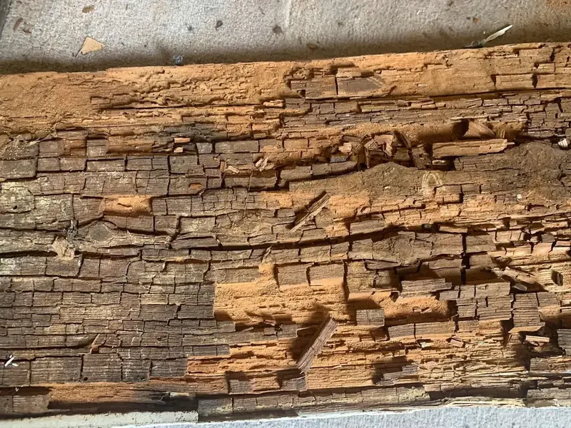 Pourriture cubique : bois découpé en cubes qui s'effritent
