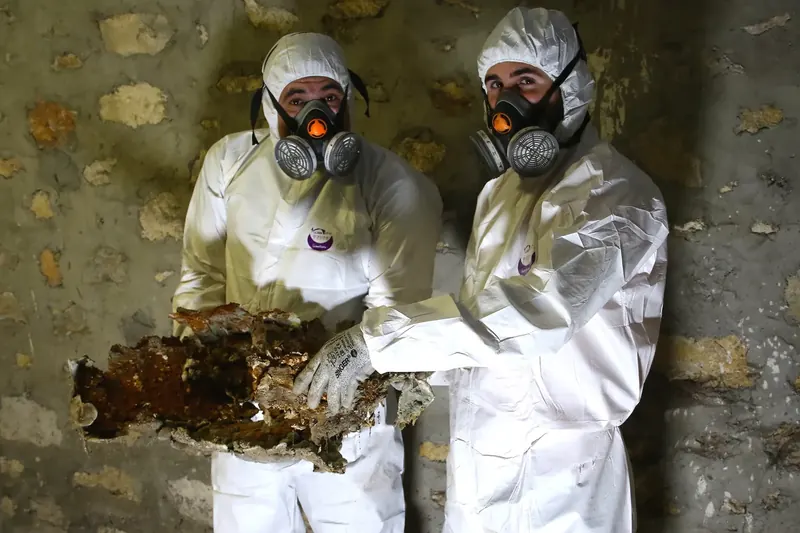 Applicateurs du Sommet de l'Habitat en équipement de protection, fructification de mérule en main