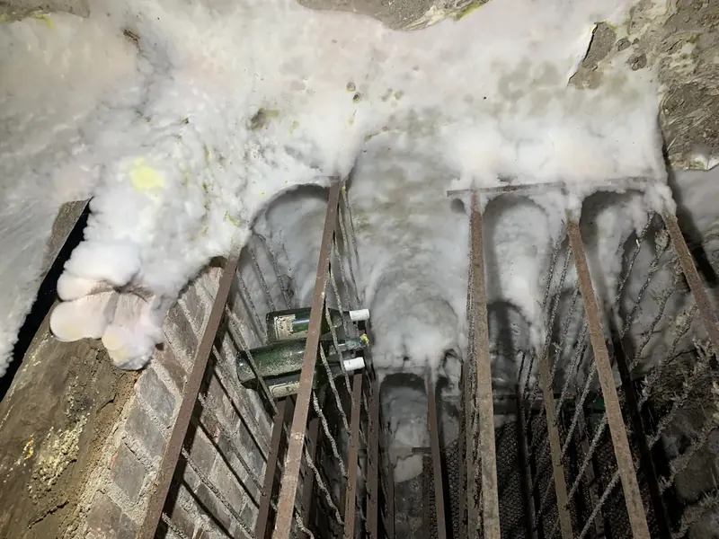 Cave chartraine attaquée par un champignon lignivore