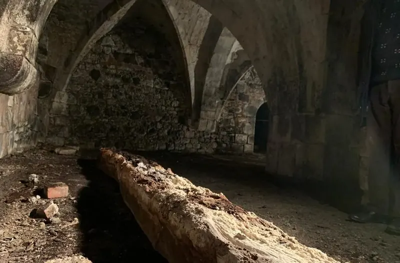 Mérule dans un château d'Eure-et-Loir
