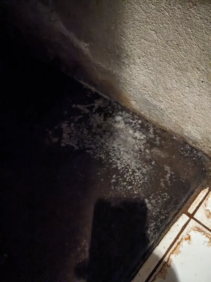 Sous-sol chartrain avec développement en pied de mur enterré