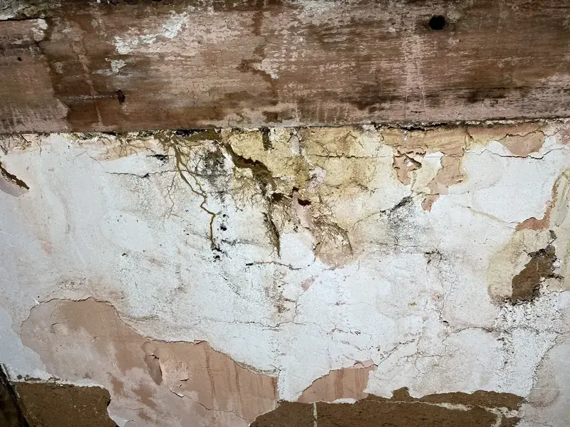 Bas de mur, enduit soufflé et voile de salpêtre au-dessus de la plinthe à Cléry-Saint-André, Loiret