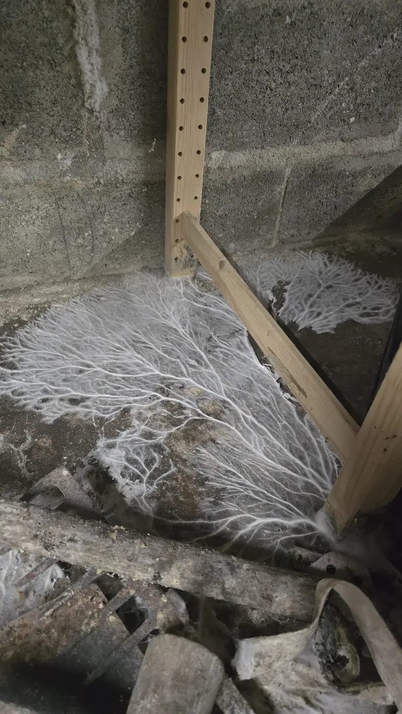 Développement sur toute la hauteur, entre le mur et le plancher haut. Limours (91)
