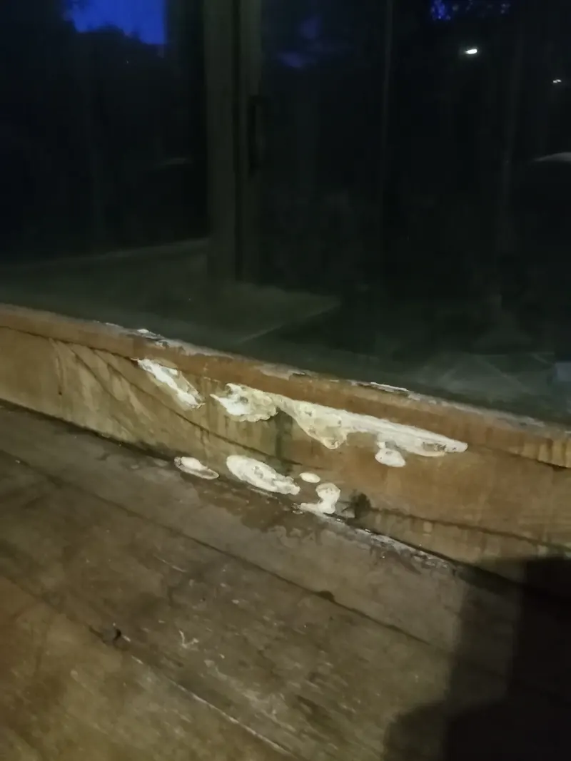 Développement blanc sur une pièce de bois en partie basse, sous une ouverture. Maintenon (28)