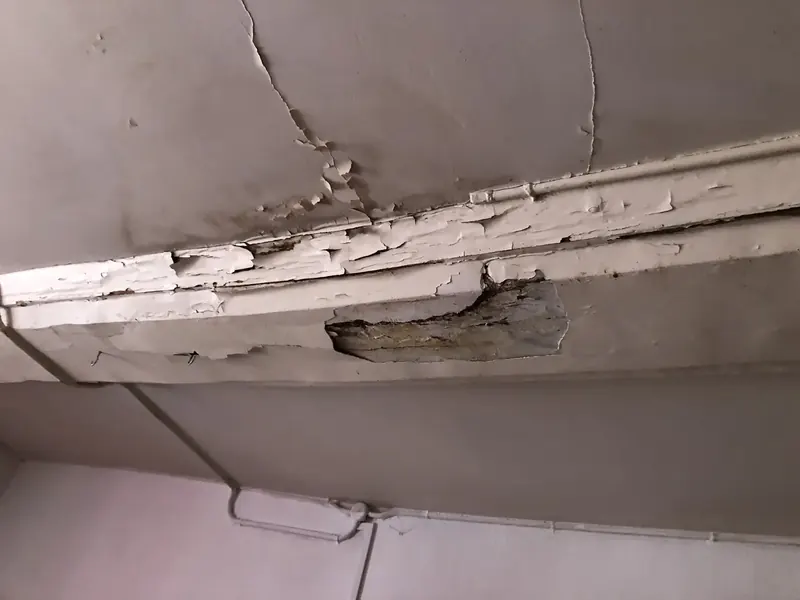 Poutre de plafond dont l'enduit se décolle, bois dégradé en dessous à Le Merlerault, Orne