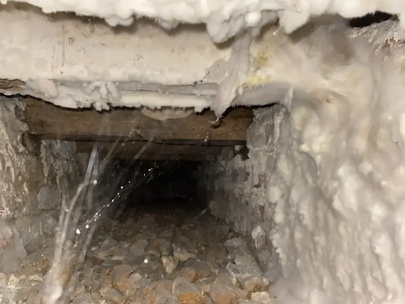 Mycélium cotonneux dans une niche de cave en pierre, au contact d'une pièce de bois à Le Vaudreuil, Eure