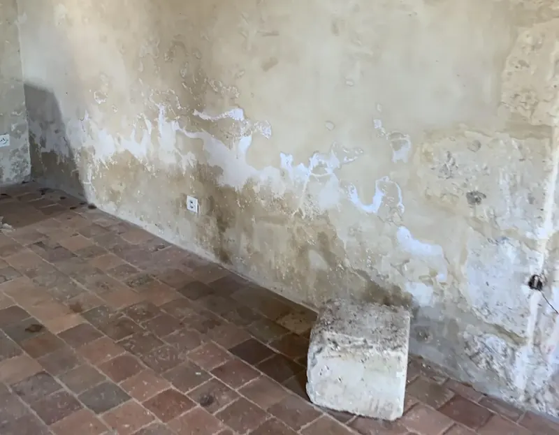 Mur de sous-sol marqué par des remontées capillaires et des efflorescences de salpêtre