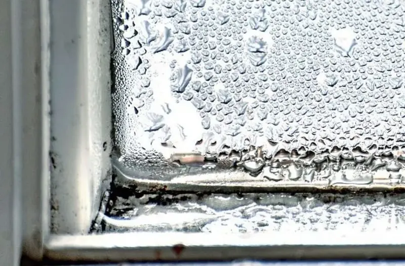 Condensation et moisissure sur le dormant d'une fenêtre