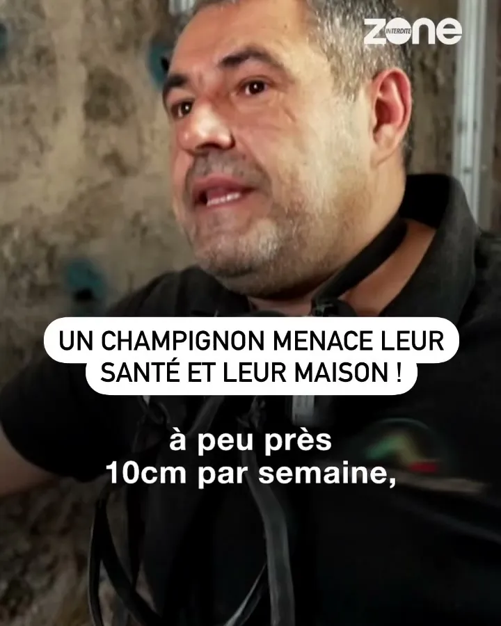 Frédéric Rodriguez expliquant la progression de la mérule, dans le reportage Zone Interdite sur M6