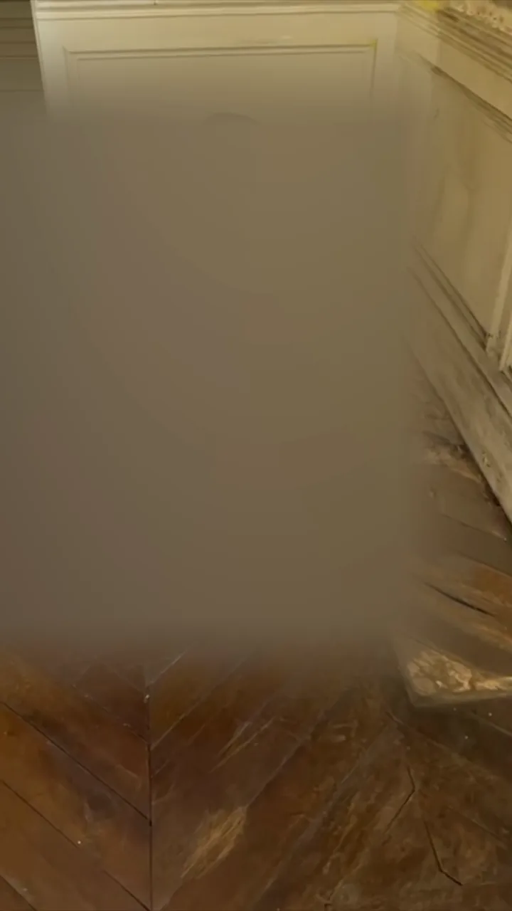 Sporophore de mérule étendu sur tout un parquet de chambre, sous les boiseries